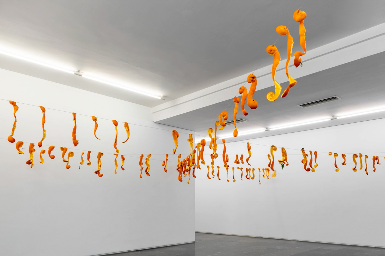 Luis-Adelantado-Carmen-Calvo